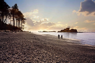 "Sunset Beach Walk" Print on Canvas by Sylvia Cook