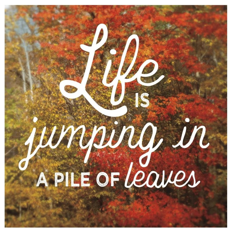 "Life is for Jumping" Digital Paper Print by Sue Schlabach, 32"x32"