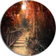 Stairway Through Red Fall Forest, Landscape Photo Round Wall Art, 11"