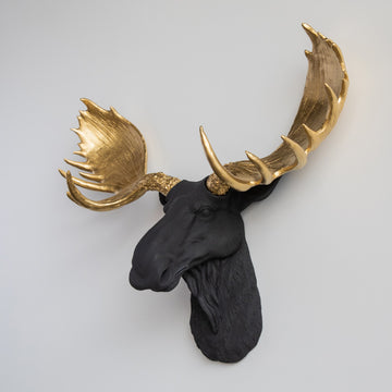 Faux Taxidermy Moose Head Wall Mount, Black and Gold