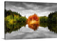 "Autumn on a Mirror" Wrapped Canvas Art Print, 24"x16"x1.5"