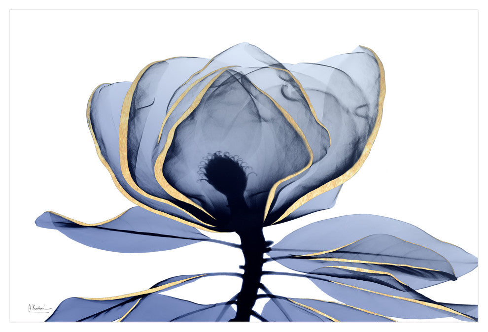 "Golden Midnight 1"Frameless Free Floating Panel Graphic Wall Art, 32"x48"