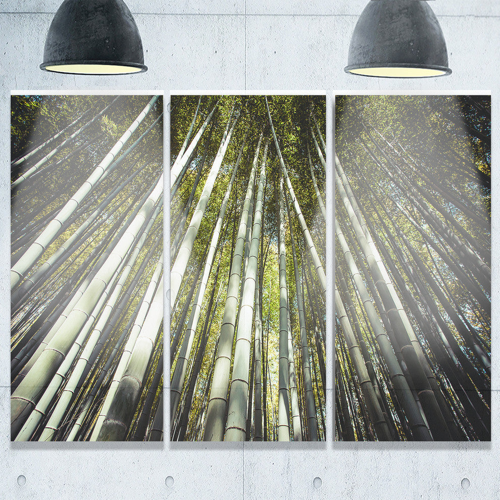 "Long Bamboos in Bamboo Forest" Forest Metal Wall Art, 3 Panels, 36"x28"
