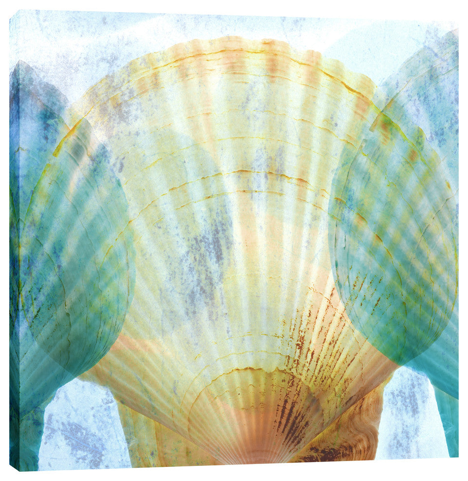 "Luminous Seashells 2" Giclee Canvas Wall Art, 37"x37"