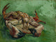 Tile Mural, Still Life A Crab On Its Back By Vincent Van Gogh Ceramic, Glossy
