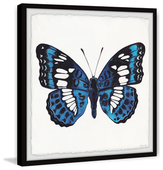 "Dazzling Wings" Framed Painting Print, 12x12