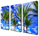 Ready2hangart 'Shady Palms' 3-piece Canvas Wall Art