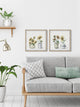 Always, Bloom Diptych, Set of 2, 12x12 Panels