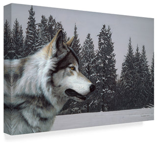 Ron Parker 'Wolf Portrait' Canvas Art, 19"x12"