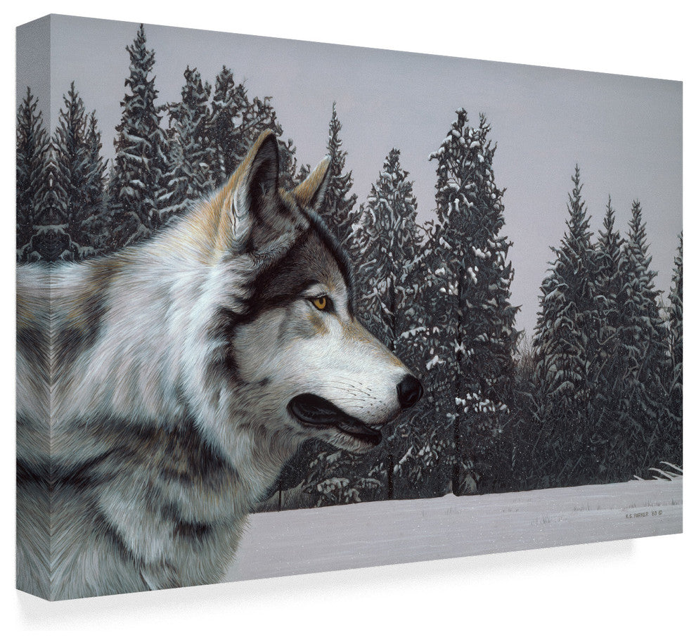Ron Parker 'Wolf Portrait' Canvas Art, 19"x12"