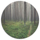 Foggy Dense Forest With Grass, Modern Forest Disc Metal Wall Art, 36"