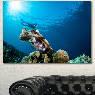 Broadclub Cuttlefish Underwater, Large Seashore Canvas Art Print, 60"x28"