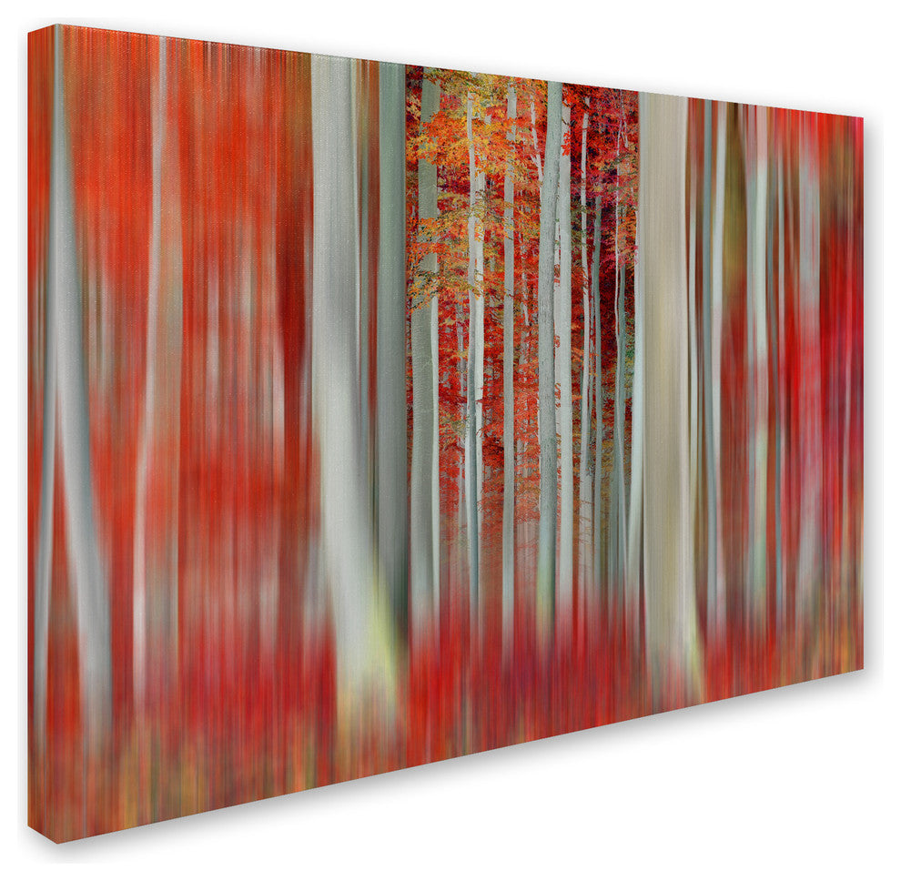 'We Rolled Together' Canvas Art by Philippe Sainte-Laudy