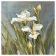 "Spring Iris II" Digital Paper Print by Danhui Nai, 42"x42"