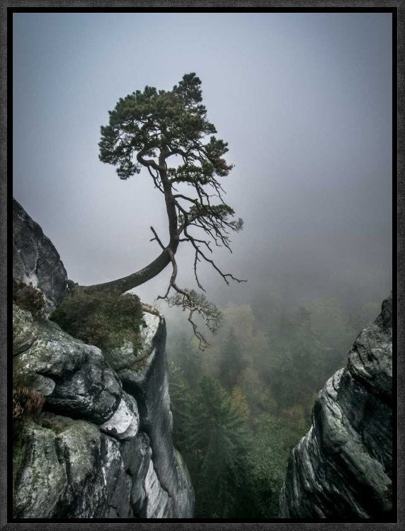"Against The Odds" Framed Canvas Giclee by Andreas Wonisch, 13x17"