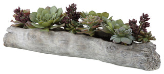 Primary product image: full view on white background with the log planter and succulents.