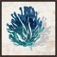 Cerulean Coral IV, 37.25"x37.25", Espresso Natural Wood Gallery Floater