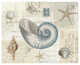 "Beach Wonders II No Butterflies" Digital Paper Print by Katie Pertiet, 26"x22"