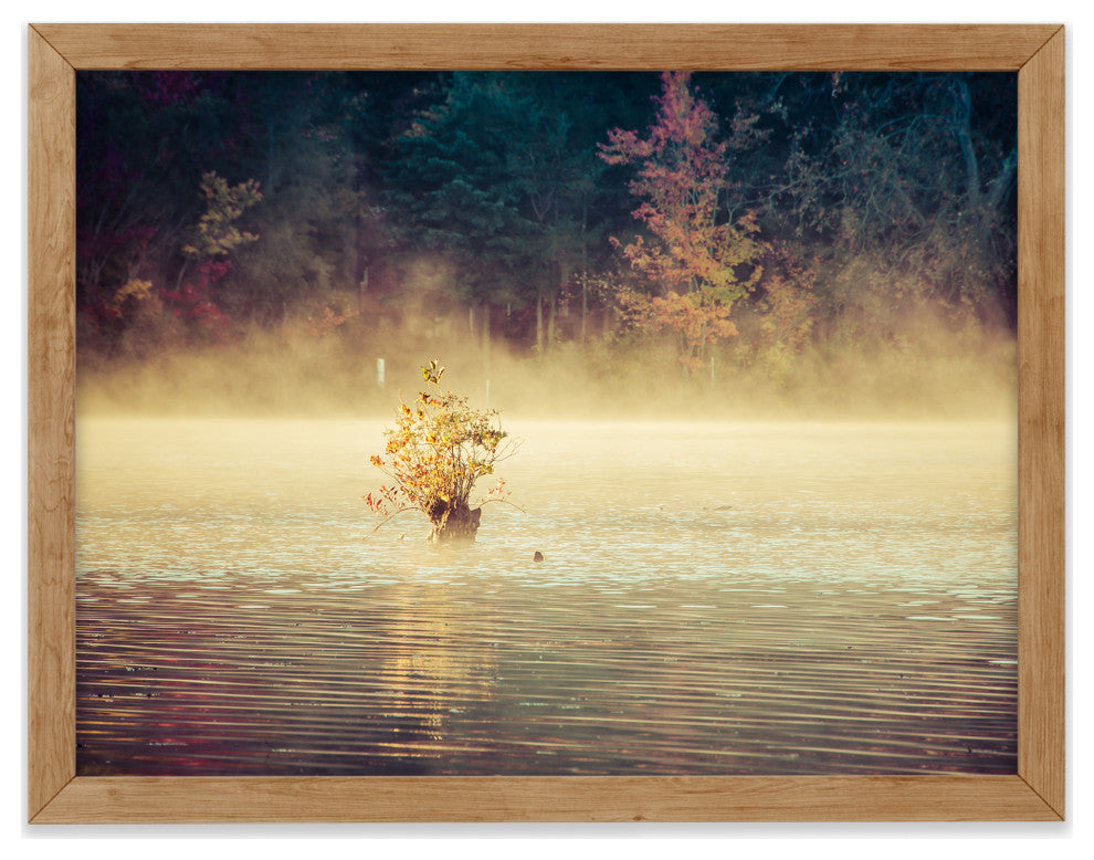 Golden Mist on Waples Pond Framed Photo Paper Wall Art Prints, Red Oak, 11" X 14"