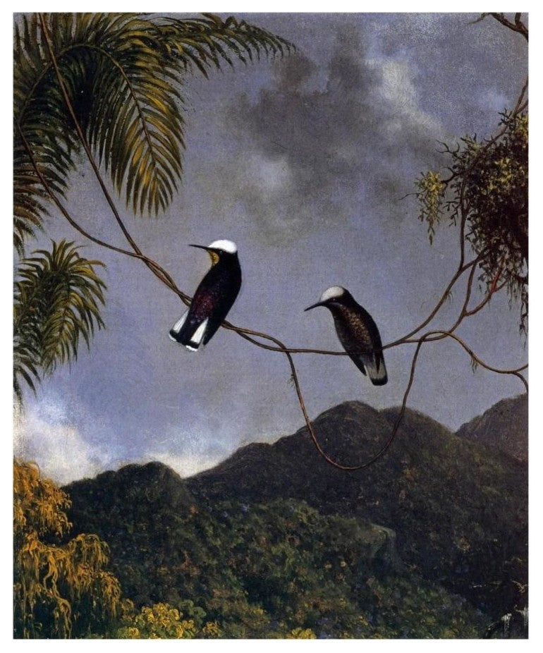 "Snowcap" Digital Paper Print by Martin Johnson Heade, 15"x18"