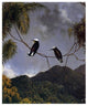 "Snowcap" Digital Paper Print by Martin Johnson Heade, 15"x18"
