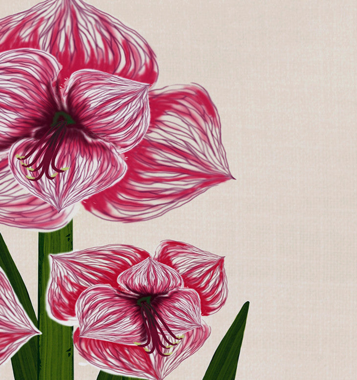 Amaryllis, Floral Print Placemat, Pink (Set of 4), 18 x 14"