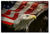 Jai Johnson 'American Eagle' Canvas Art, 24 x 16