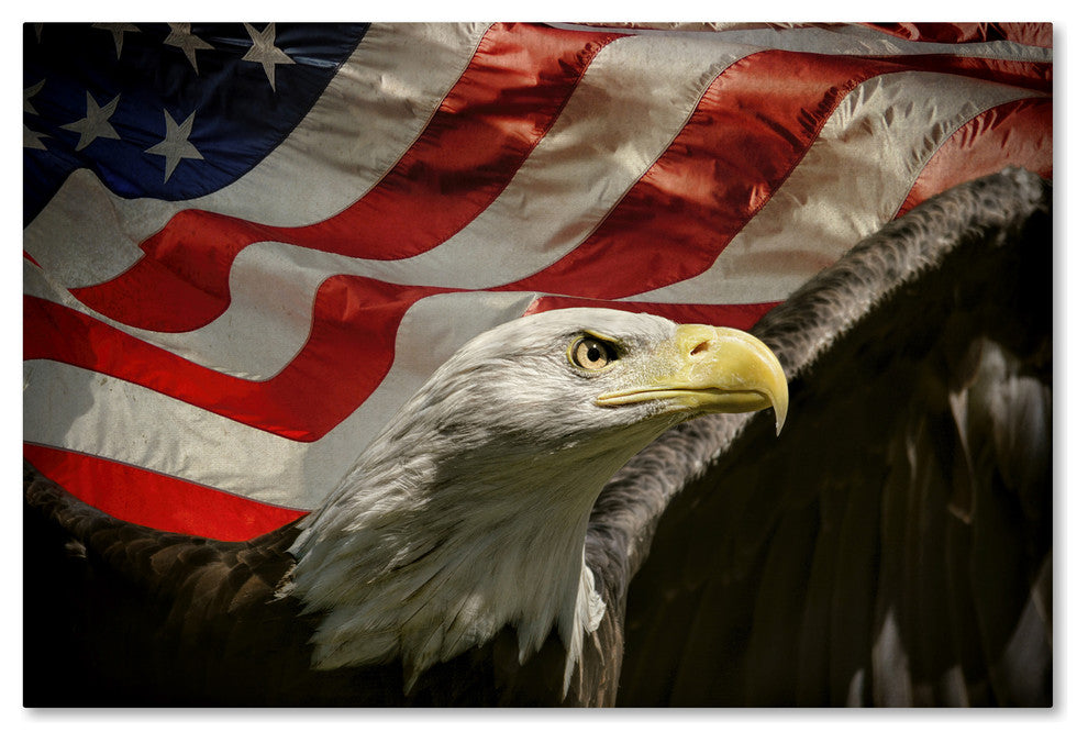 Jai Johnson 'American Eagle' Canvas Art, 24 x 16