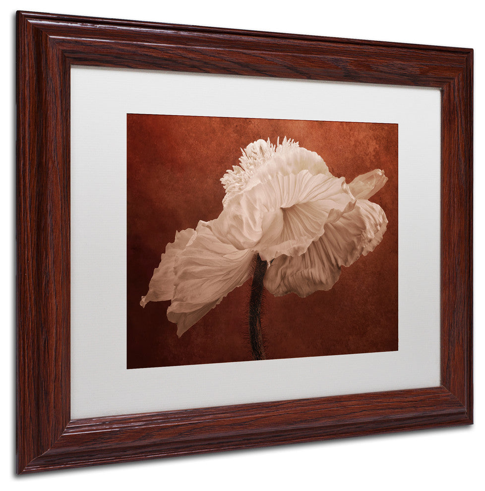 Cora Niele 'White Poppy' Matted Framed Art