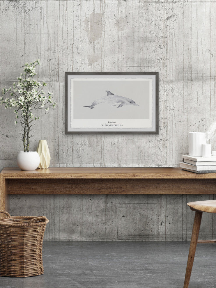 "Delphinus Delphis" Framed Painting Print, 12x8