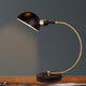 Swivel Neck, Metal Task Lamp, Matte Black & Antique Brass, 63"