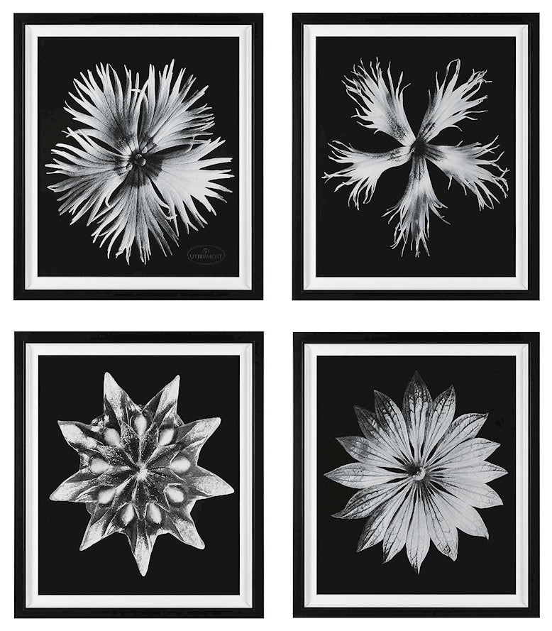 Uttermost Contemporary Floret Framed Prints, Set of 4
