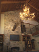 Elk, Fallow Cascade Deer Antler Chandelier Light, Large, No Shades