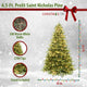 6.5-Ft. Saint Nicholas Pine Christmas Tree With Warm White LED Lights