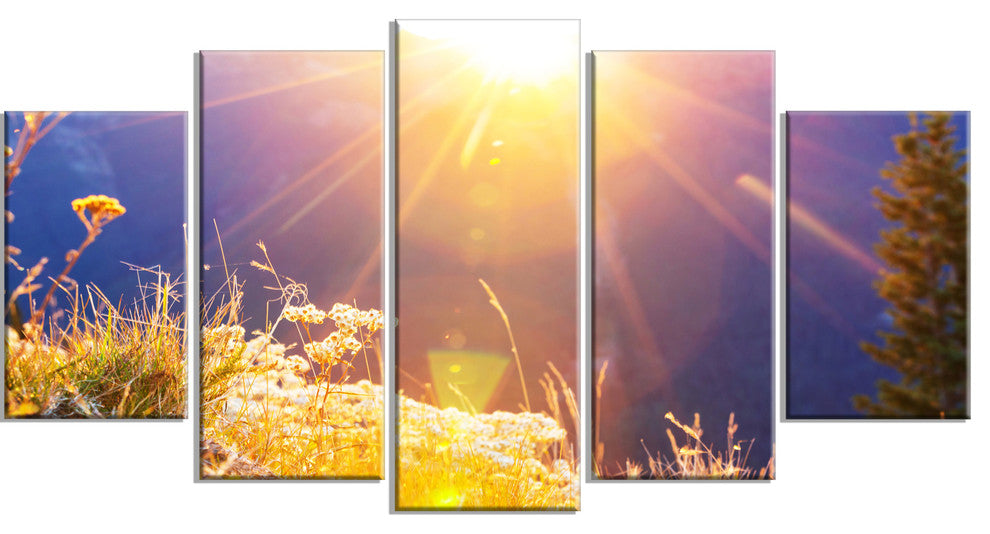 Rural Meadow Flowers At Sunset, Landscape Canvas Art Print, 60"x32", 5 Panels
