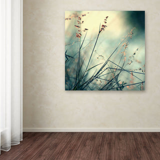 'About Hope' Canvas Art by Beata Czyzowska Young