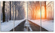 Bright Sun Break in Winter Forest, Large Forest Canvas Print, 48"x28", 4 Panels