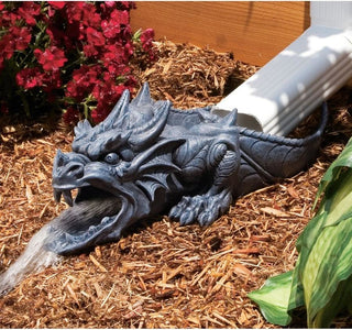 Ranier Dragon Rainspout