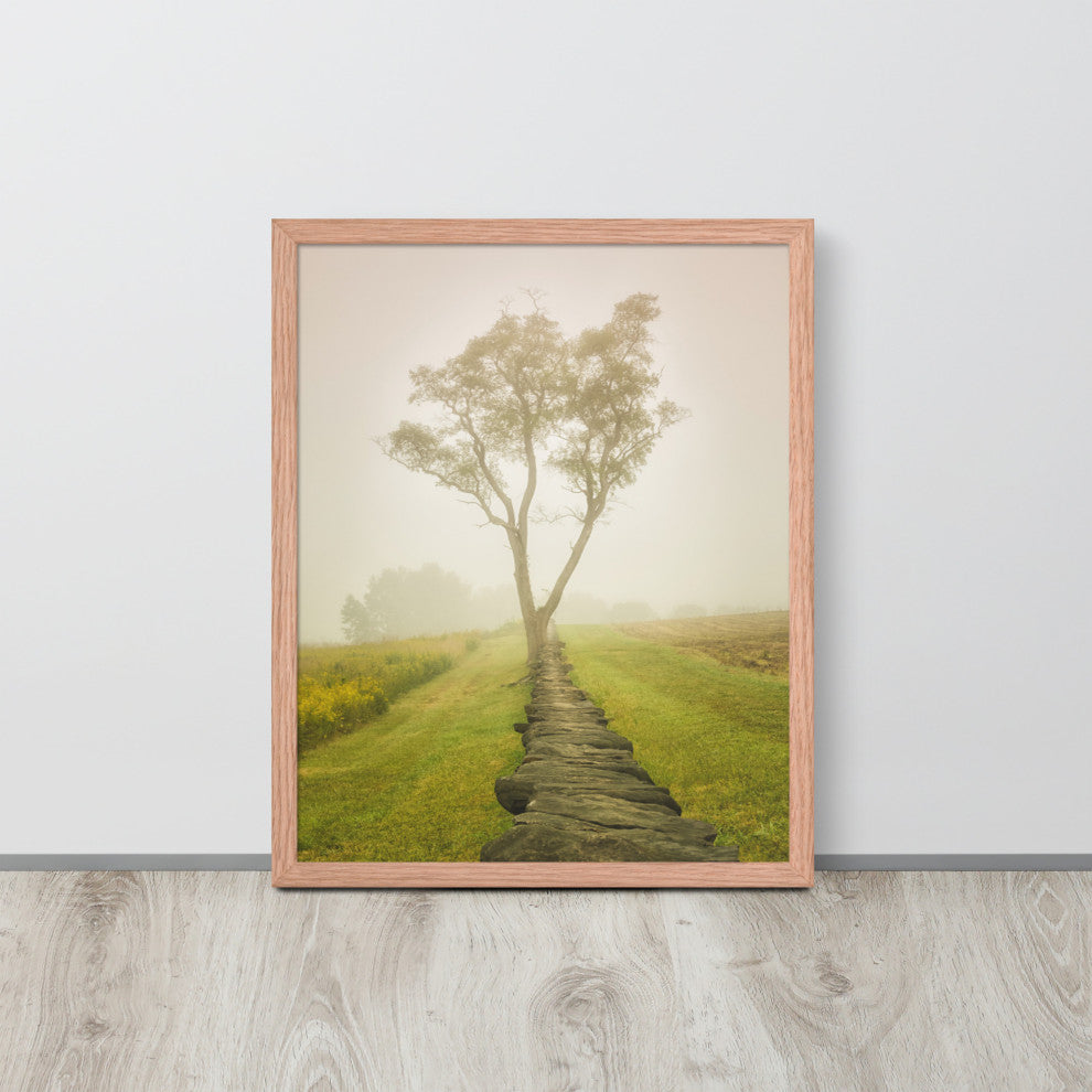 Calming Morning Rural Landscape Framed Photo Paper Wall Art Prints, Red Oak, 16" X 20"