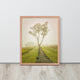 Calming Morning Rural Landscape Framed Photo Paper Wall Art Prints, Red Oak, 16" X 20"