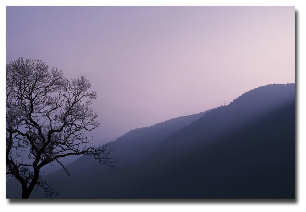 'Purple Hours' Canvas Art by Philippe Sainte-Laudy