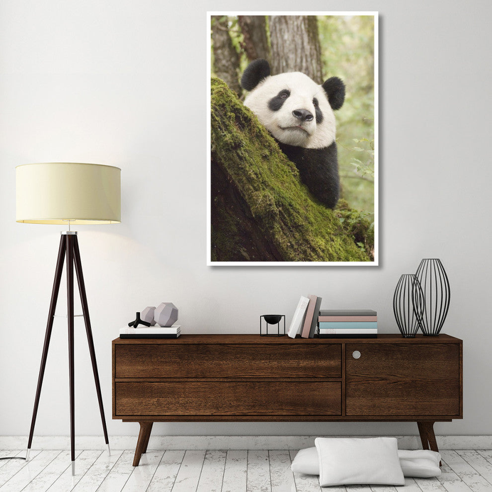 "Xiang Xiang, 1st captive raised panda released into wild" Paper Art, 42"x62"