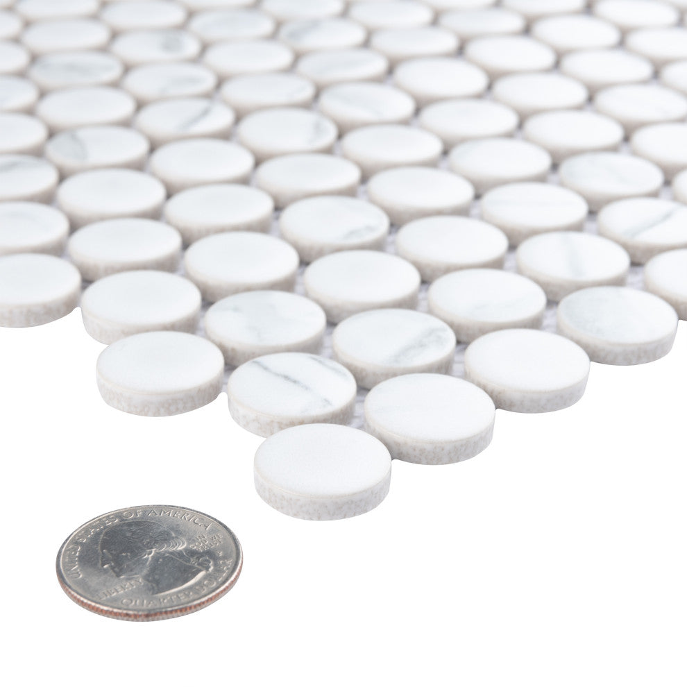 Carrione Penny Matte Carrara Porcelain Floor and Wall Tile