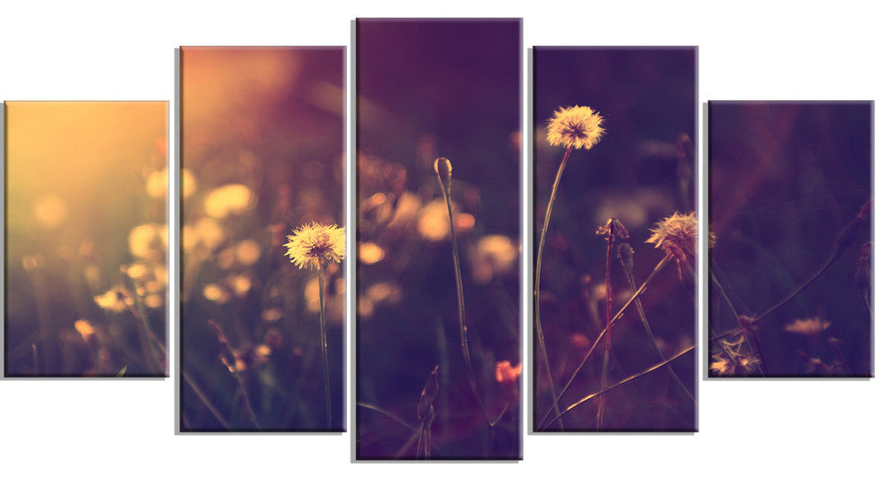 Vintage Dandelion Meadow Photo, Large Floral Canvas Art Print, 60"x32", 5 Panels