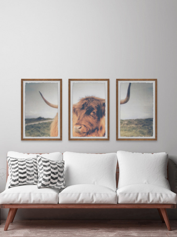 Cow's Eye View Triptych, 3-Piece Set, 12x18 Panels