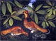 Rubens Peale Two Ruffed Grouse, 21"x28" Gallery Wrapped Canvas Print