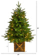 3' Finl&Fir Faux Xmas Tree, Planter W/272 Bendable Branches &50 White Lights