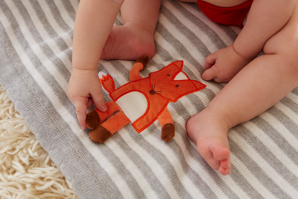 Fox 3-D Blanket