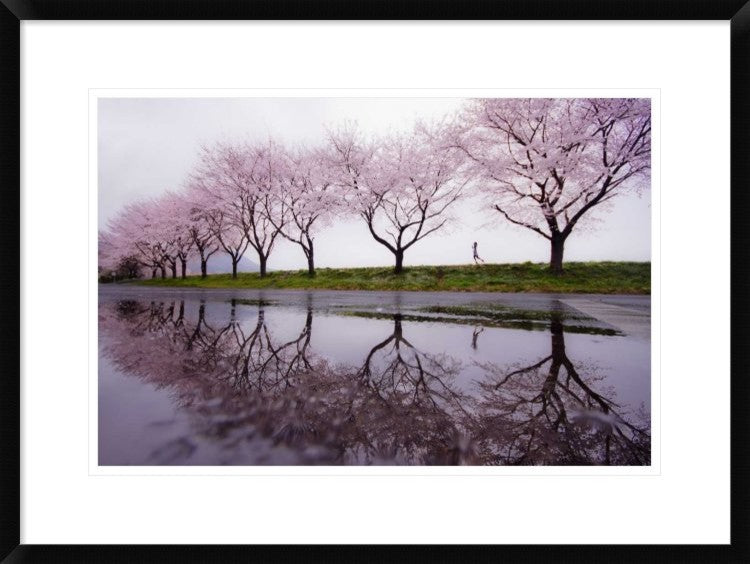 "Rain Of Spring" Framed Digital Print by Kouji Tomihisa, 30x22"