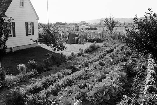 Homestead Poject - Canvas Poster 20" x 30"